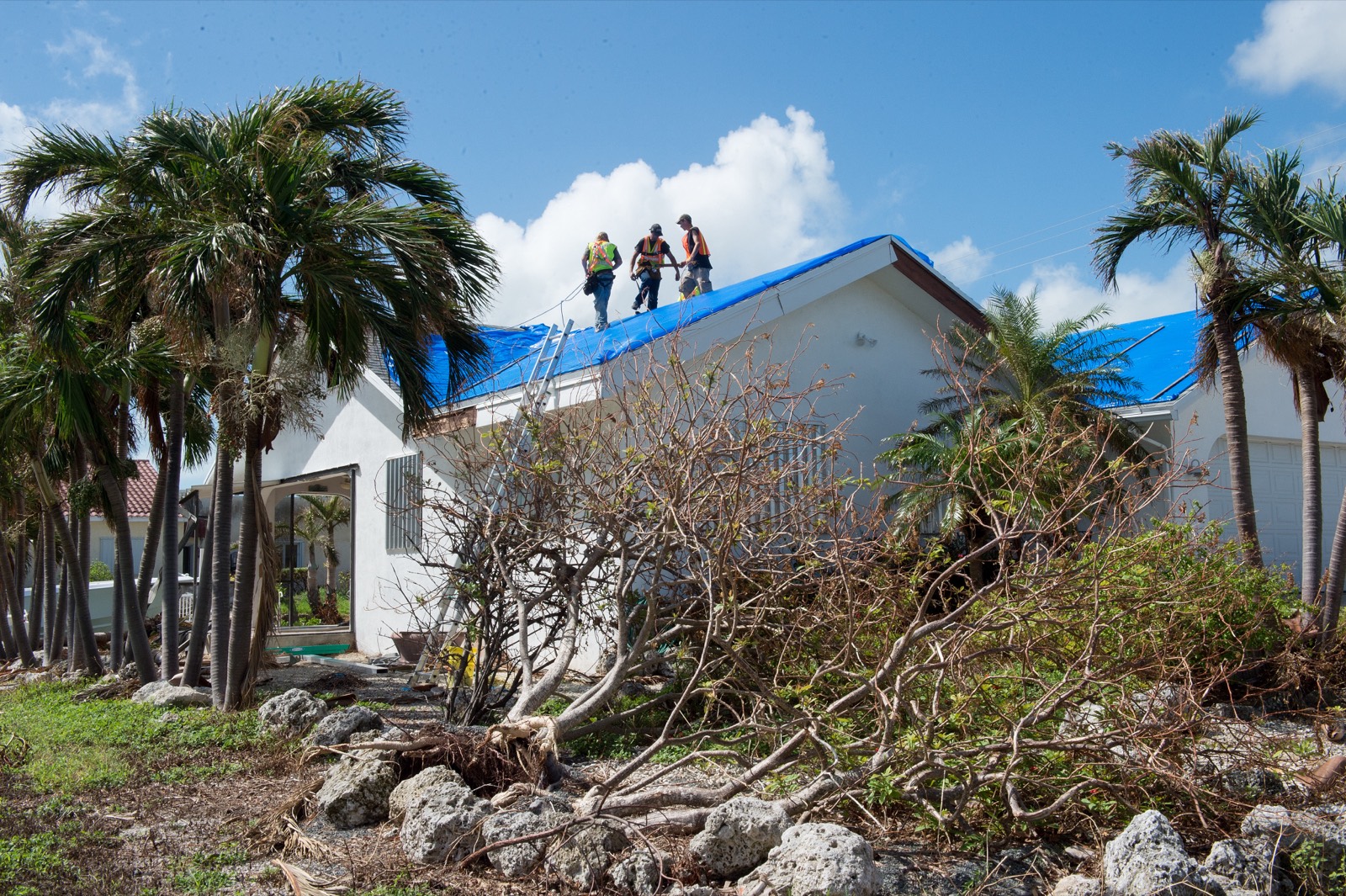 Crew installing an emergency blue tarp on a hurricane-damaged roof in Florida