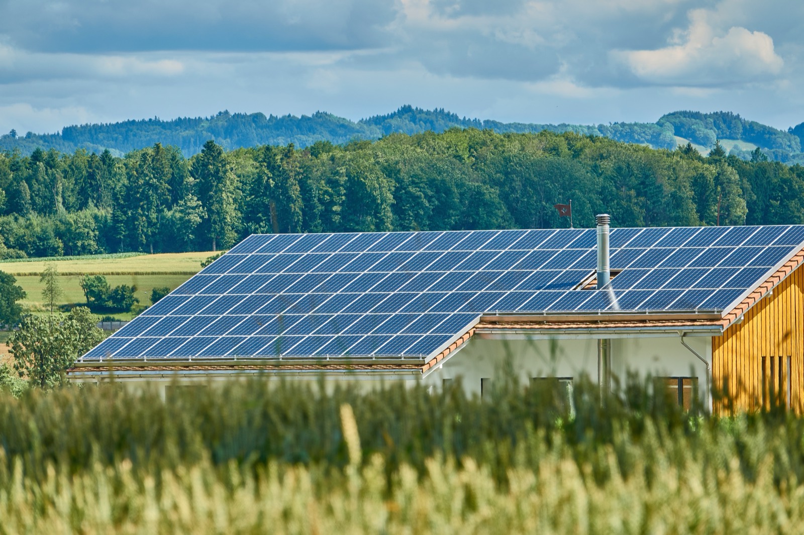 Solar panels generating clean electricity on a sunny Florida rooftop